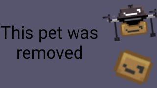 Terraria's removed pet(mysterious package)