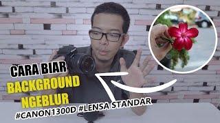 Cara Foto Biar Background Ngeblur Bokeh Pake Canon DSLR EOS 1300D Dengan Lensa Kit