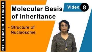 Molecular Basis of Inheritance | NEET | Structure of Nucleosome | Neela Bakore Tutorials