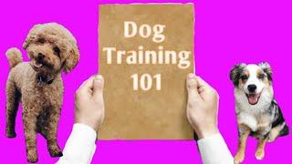 Beginner's Guide to POSITIVE Reinforcement Dog Training - For Puppies and Adults!