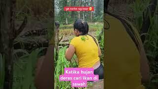 Ketika hujan cari ikan#outdoors #fishing #survival #hunting #jiaamalia20 #jiasurvivalskills #cooking