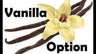 What is a Vanilla Option?