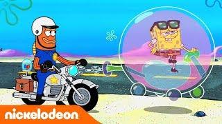 SpongeBob Schwammkopf | Luftblasen Autos | Nickelodeon Deutschland