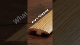 What is a T-MOLD? Flooring Quick Tip (Transition Molding)