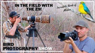 Birds in Flight with the Nikon Z9 | Incredible Birds of Mexico