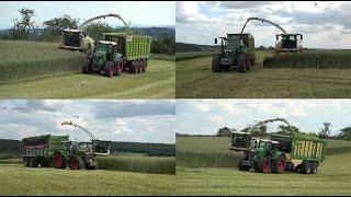 [GPS Häckseln] LU Norbert Mäser Claas Jaguar 950 mit Direct Disc 600 und neuen Fendt Abfahrern