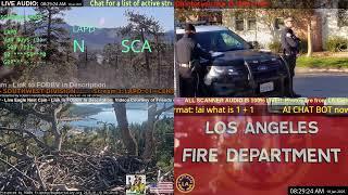 *LIVE* Los Angeles Police Scanner Audio LAPD Police LAFD Fire // 10-JAN-2025 // LA Captain