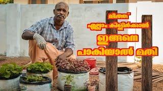 വിത്ത് എല്ലാം കിളിർക്കാൻ ഇങ്ങനെ പാകിയാൽ മതി | The correct method used to germinate the seeds