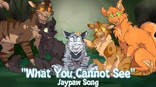 "What You Can't See" Jaypaw. (ORIGINAL WARRIOR CAT SONG)