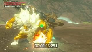 BOTW: Gold Lynel Speed Kill 18 seconds