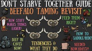 Don't Starve Together Guide: Beefalo Taming Revisit - Easier Now? Worth It?