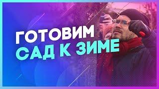 Осенние работы в саду. Ваш сад готов к зиме?