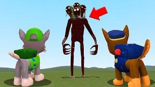 THREE HEAD IS HUNTING US! DANGEROUS SCP AGAINST PUPPY PAW PATROL ONLINE GAME (Garry's Mod)