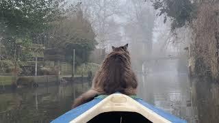 Surprise: Fog in March. Louis enjoys his morning kayaking (4 K- High Video quality)