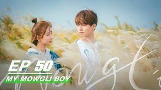 【FULL】My Mowgli Boy EP50 | 我的莫格利男孩 | Ray Ma 马天宇, Andy Yang 杨紫 | iQiyi