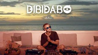 DIBIDABO - Live Stream from Bali