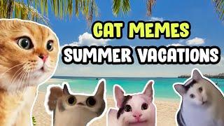 CAT MEMES: SUMMER VACATIONS  PART 1