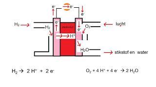 Brandstofcel (kort) Uitleg van de waterstofcel en de methanolbrandstofcel.