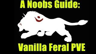 A Noobs Guide: Classic WoW Feral Druid PVE Dps