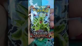 Pokémon TCG Obsidian Flames Opening! Episode 76  Happy New Year 