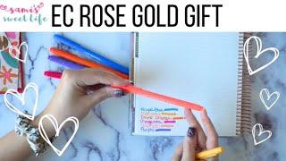 ERIN CONDREN ROSE GOLD GIFT UNBOXING & REVIEW | New Dual Tip Marker Swatches