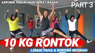 10 KG LEMAK RONTOK | AEROBIK PENURUNAN BERAT BADAN | PART 3 BANTAI LEMAK PAHA