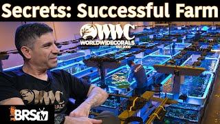 Victor’s 13 Secrets to Running a Successful Coral Farm!