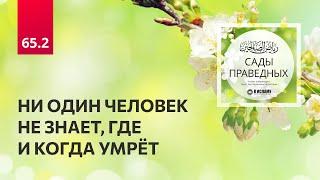 65.2 Сады праведных. НИ ОДИН ЧЕЛОВЕК НЕ ЗНАЕТ, ГДЕ И КОГДА УМРЁТ. Глава 65. Часть 2-я