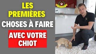 L'arrivée du chiot à la maison (erreurs et solutions)