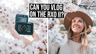 Can you Vlog on the Sony RX0II? | Cherry Blossoms in Korea