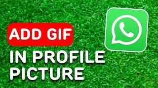How to Add Gif in Whatsapp Profile Picture (2024) - Full Guide