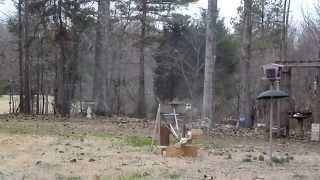 Tree Rat Launch Catapult Squirrel can fly