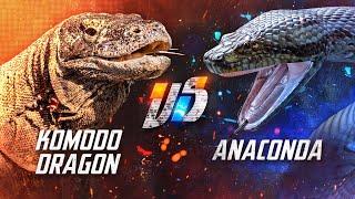 Komodo Dragon VS Anaconda