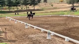 RONALD ZABALA GOETSCHEL & WUNDERMASKE - QUILLOTA, CHILE - DRESSAGE - October 11 - 13, 2019