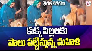 Viral Video : కుక్క పిల్లలకు పాలు పట్టిస్తున్న మహిళ | Woman Feeding Milk To Dogs | SumanTV