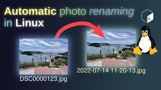 Organize your holiday photos from the command line in Linux using imagemagick!