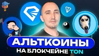  Альткоины на блокчейне TON | NOT продолжит расти ? (7 МОНЕТ)