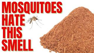 Mosquitoes Hate This Smell | Use THIS and you'll never get another bite