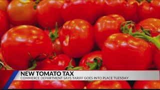 New tomato tax to increase price and cause shortages