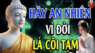 Hãy An Nhiên Vì Đời Là Cõi Tạm Cớ Làm Sao Phải Tự Khổ Chính Mình - Lời Phật Dạy Cực Hay