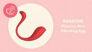 SVAKOM Phoenix Neo Review | EasyToys