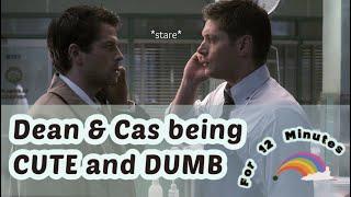 Dean and Cas being cute dumbasses for 12 minutes (not) straight