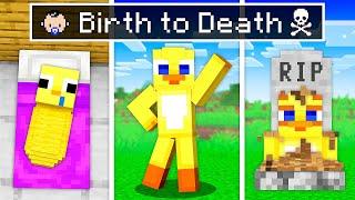 BIRTH To DEATH Of PIP In Minecraft!