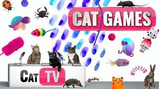 CAT Games | Ultimate Cat TV Compilation Vol 38 | 2 HOURS 