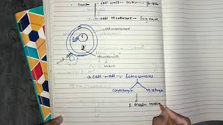 Anti Fungal part 1, #chemopharma #pharmacology #katzung #lippincot