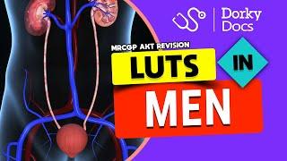 LUTS (Lower Urinary Tract Symptoms) in Men I The MRCGP AKT Exam Revision I Dorky Docs