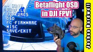 Finally! Full Betaflight OSD in DJI FPV! FPV.wtf WTFOS how-to