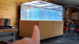 No more Scratches! 800-Gallon Tank Update - Fish Room Update Ep. 142