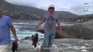 Zapallarina 2014, Campeonato de Pesca Libre