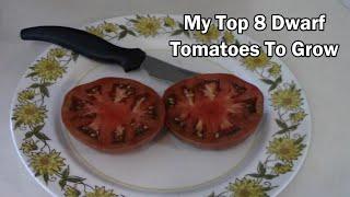 My 8 Top Dwarf Tomato Picks - Taste Tests Included